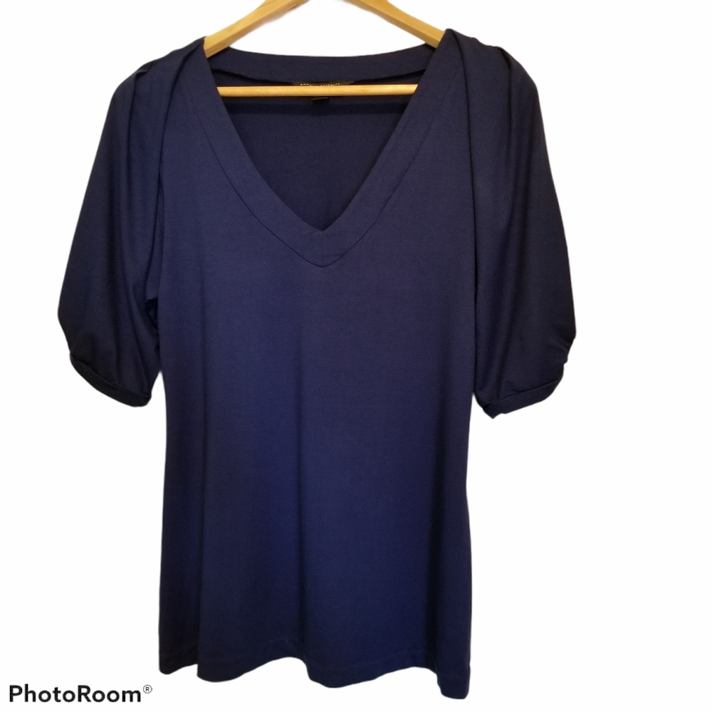 Banana Republic V-neck Balloon Puff Sleeve Top